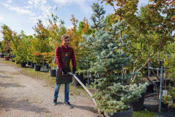 Leaf Removal in Unionville, TN